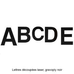 Lot de lettres découpées laser : A B C D E