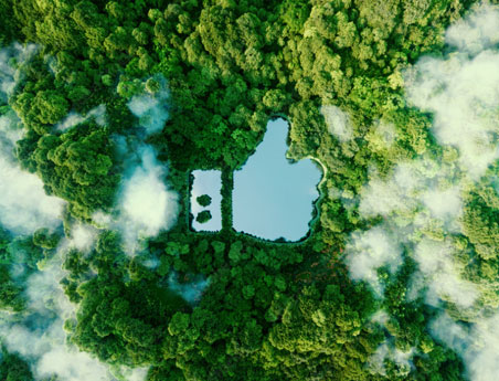 impact environnemental neutre la planete te dit merci